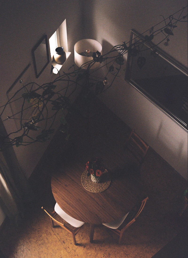 Round walnut dining table seen from above in soft evening light